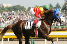 Craig Williams riding in the Japan Derby.
