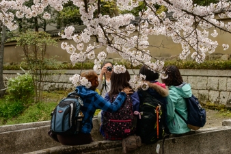 Photo session beneath the cherry blossoms along the Philosopher's Path, Kyoto.
