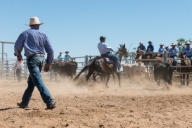 Individual Campdraft Competition, RM Williams Muster
